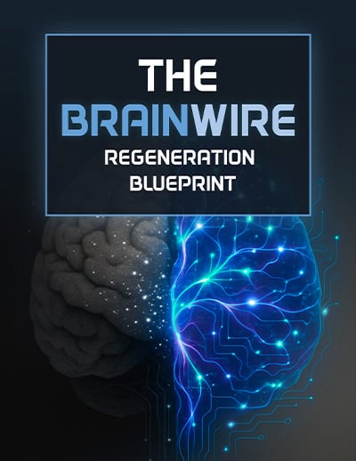 Puralean BONUS #2 - The Brainwire Regeneration Blueprint